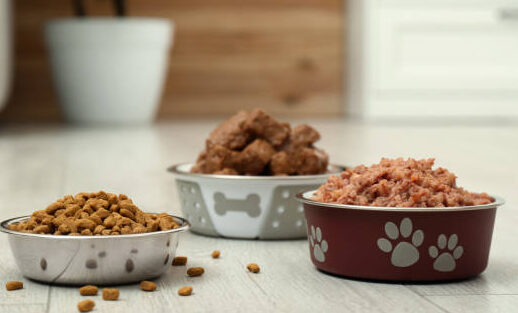 Different pet food in feeding bowls on floor indoors, space for text