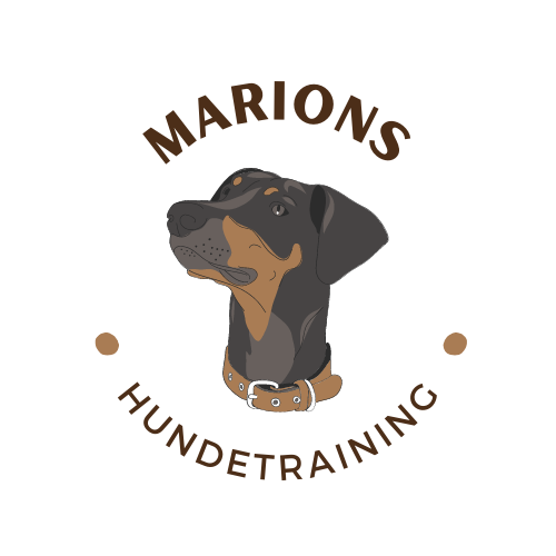 Marions Hundetraining